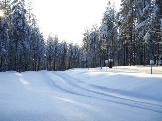  Soumensatu, rent a cottage, Koli, skiing, snowboarding, fishing, holiday, Kolinpilvi, Pielislinna, Otsopirtti
