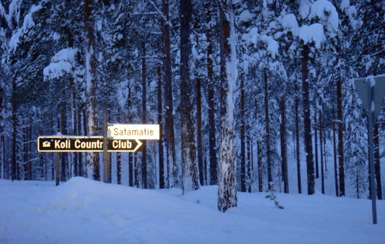  Soumensatu, rent a cottage, Koli, skiing, snowboarding, fishing, holiday, Kolinpilvi, Pielislinna, Otsopirtti